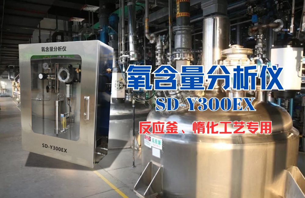 氧含量分析儀精確監(jiān)測：保障反應(yīng)釜安全與工藝穩(wěn)定的核心舉措.png